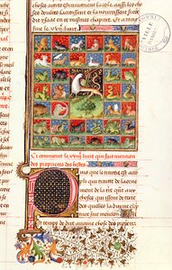 Ms 399 fol.241イギリス人のBarthelemyによる &39;Livre des Proprietes des Choses&39;の動物の特性